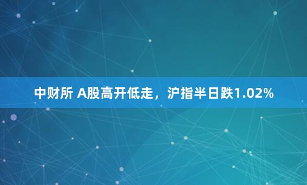 中财所 A股高开低走，沪指半日跌1.02%