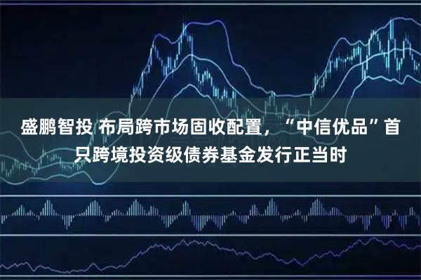 盛鹏智投 布局跨市场固收配置，“中信优品”首只跨境投资级债券基金发行正当时