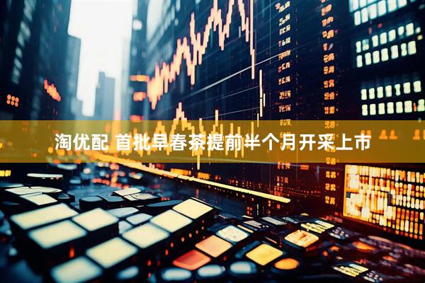 淘优配 首批早春茶提前半个月开采上市